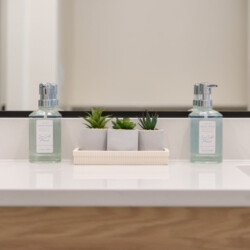 Symmetrical bathroom counter arrangement: two clear soap dispensers with pumps flanking a row of small succulent plants in gray pots on a beige tray