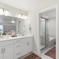 Double-sink bathroom vanity with white cabinets, large mirror, and brushed-nickel fixtures in a bright, modern master bathroom.
