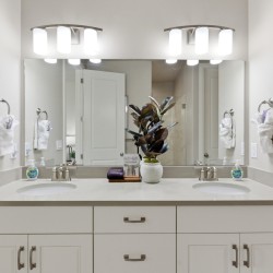 Double-sink bathroom vanity with a potted plant center, mirrors, and white towels on rings flanking the sinks.