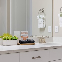 White bathroom counter with a planter of succulents, a small sign about makeup towels, and a tray with black rolled towels beside a brushed-metal faucet.