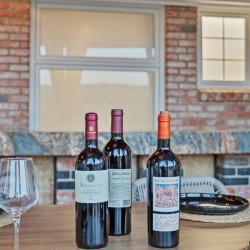 Three wine bottles centered on a wooden table with place settings against a brick-walled outdoor patio backdrop.