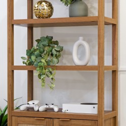 Wooden open-shelving unit with a trailing green plant, a white oval vase, and an Xbox console with controllers on the lower shelf.